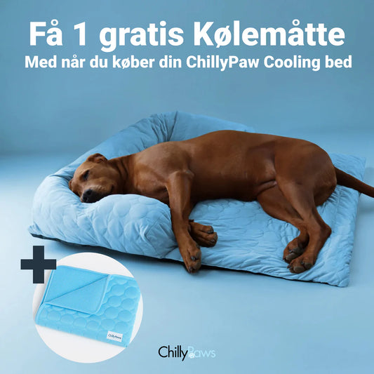 Faera Kjølende seng™